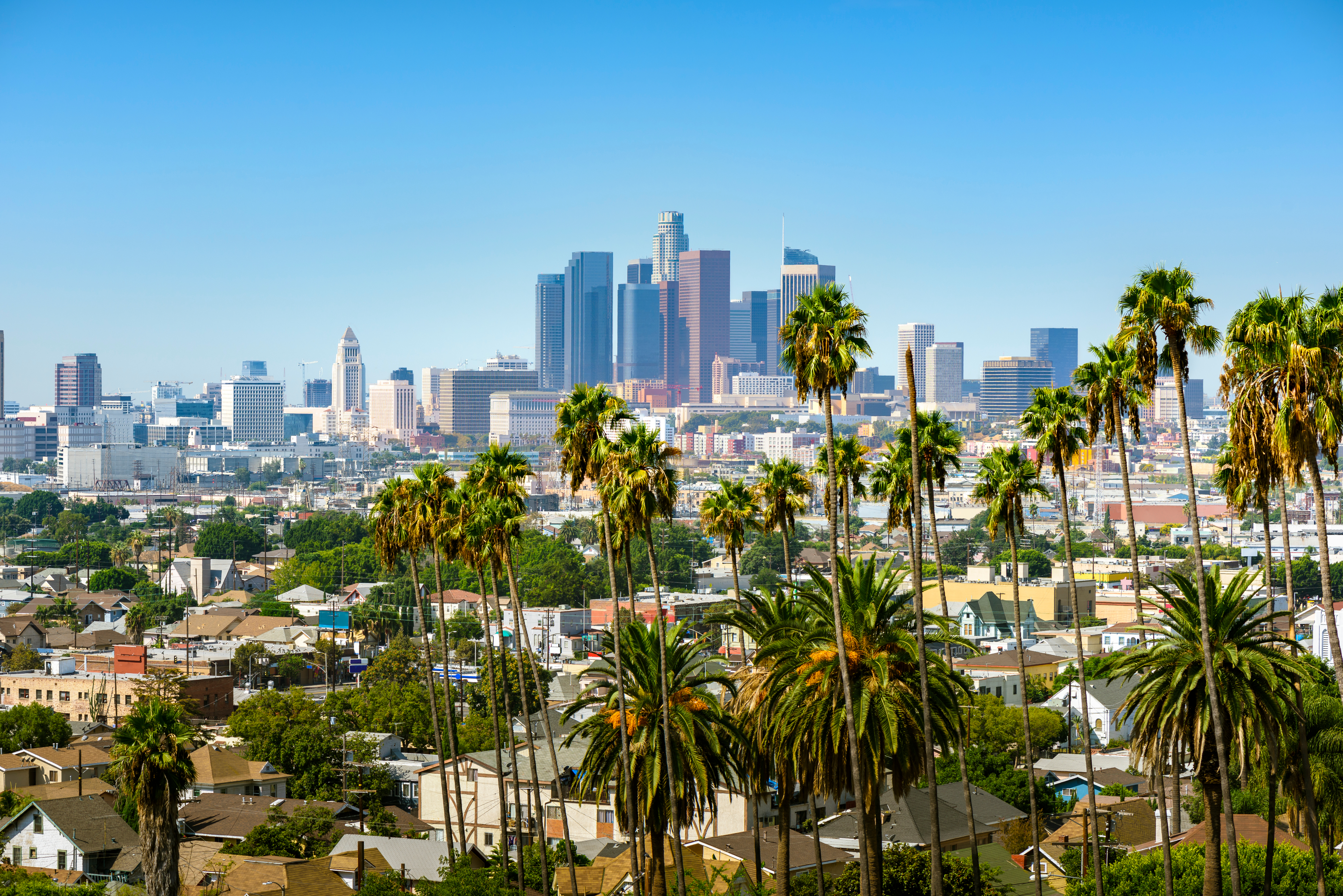 Aerial view of South Florida skyline with palm trees