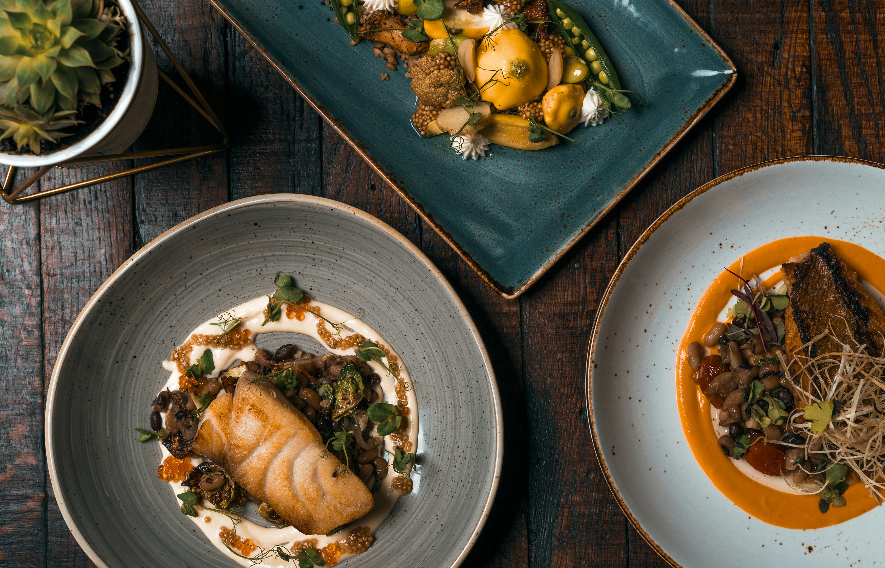 Elegantly plated seafood dish representing top restaurants and local dining spots